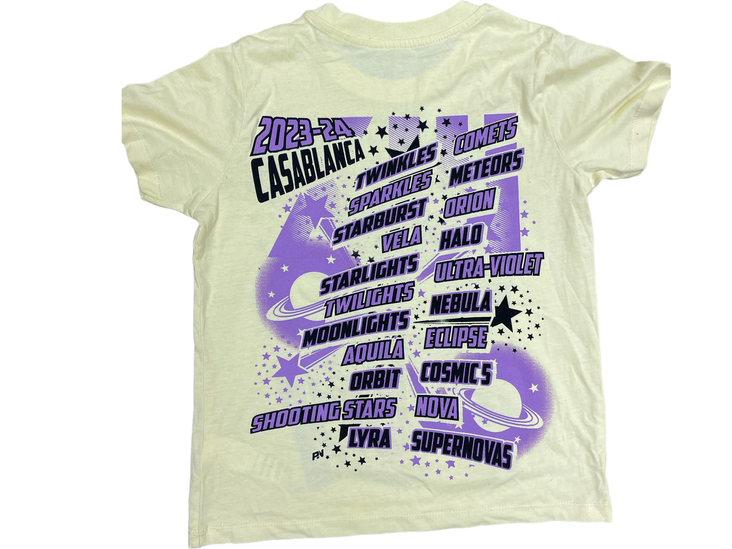 Cheer & Dance Season 13 T-Shirt